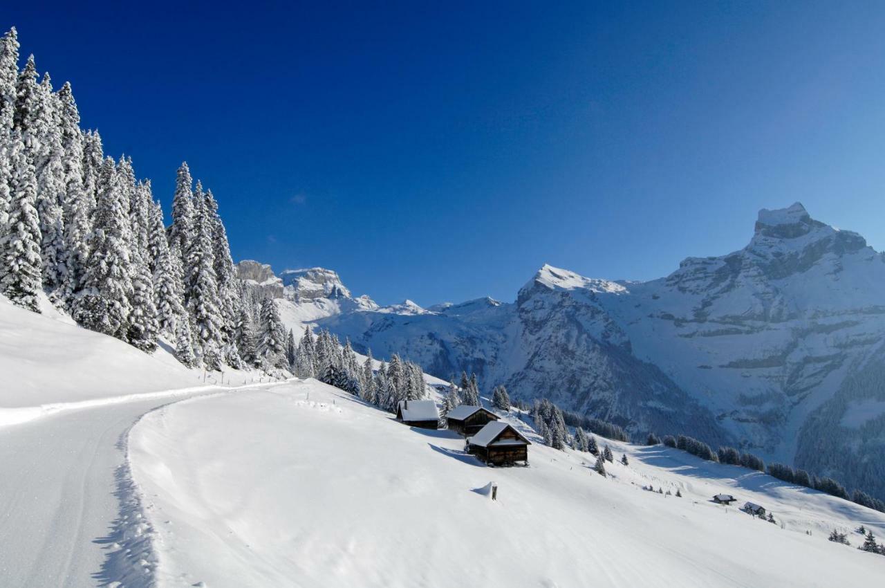 Hostal Berglodge Ristis Engelberg