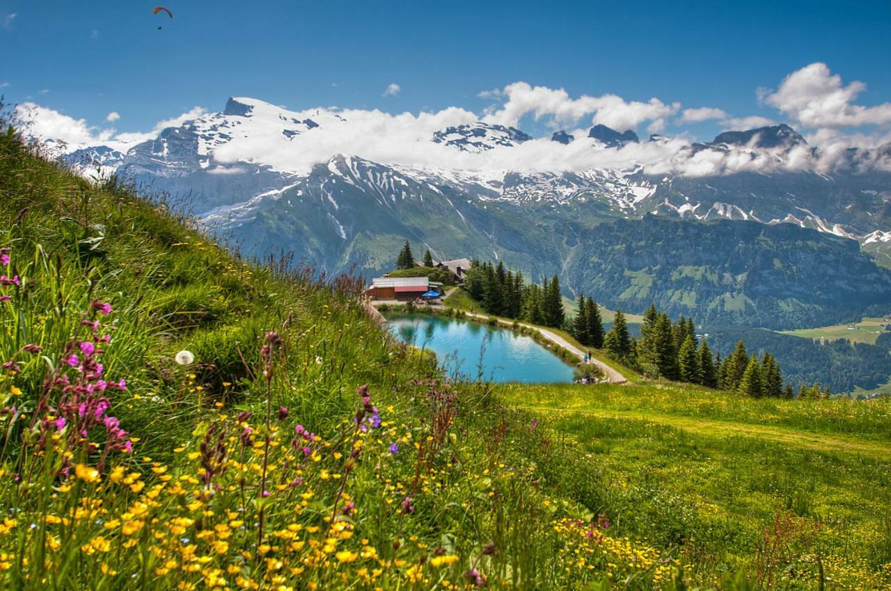 Berglodge Ristis Albergue Engelberg